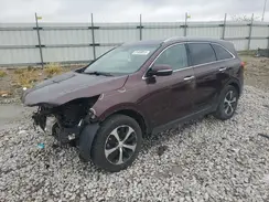 5XYPH4A53GG066412 2016 KIA SORENTO