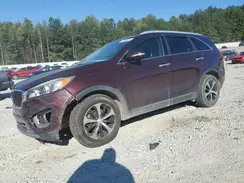 5XYPH4A53GG127970 2016 KIA SORENTO