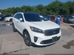 5XYPH4A53KG446262 2019 KIA SORENTO