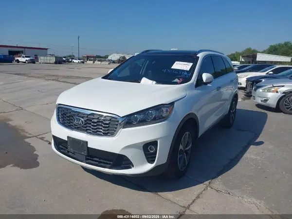 5XYPH4A53KG446262 2019 KIA SORENTO - Image 2