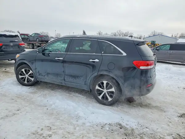 5XYPH4A54GG175204 2016 KIA SORENTO - Image 2