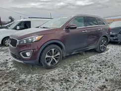 5XYPH4A55GG187152 2016 KIA SORENTO