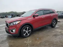 5XYPH4A55HG233533 2017 KIA SORENTO