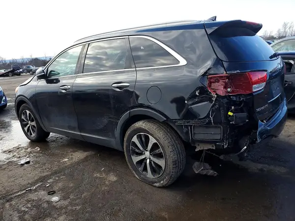 5XYPH4A57HG224462 2017 KIA SORENTO - Image 2