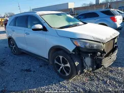 5XYPH4A57HG231895 2017 KIA SORENTO
