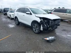 5XYPH4A57KG502493 2019 KIA SORENTO