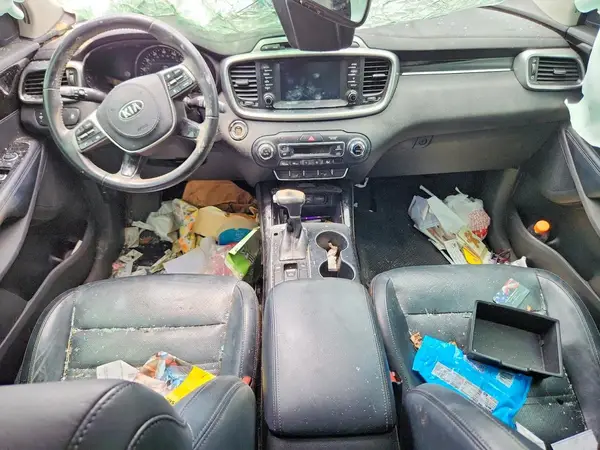 5XYPH4A57KG509072 2019 KIA SORENTO - Image 8