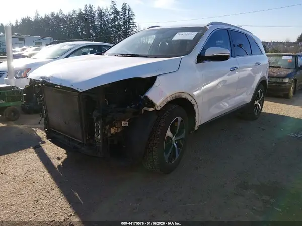 5XYPH4A59HG299793 2017 KIA SORENTO - Image 2