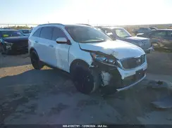 5XYPH4A59LG656432 2020 KIA SORENTO