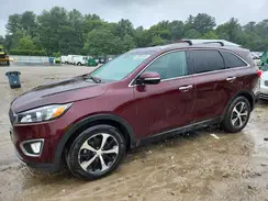 5XYPH4A5XGG186255 2016 KIA SORENTO