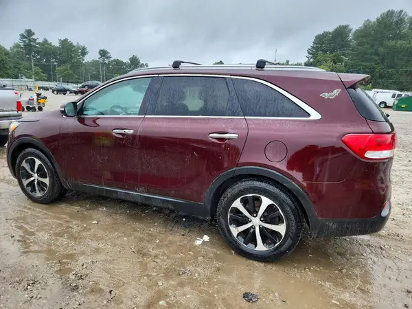 5XYPH4A5XGG186255 2016 KIA SORENTO - Image 2