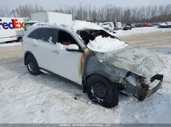 5XYPHDA19GG033590 2016 KIA SORENTO