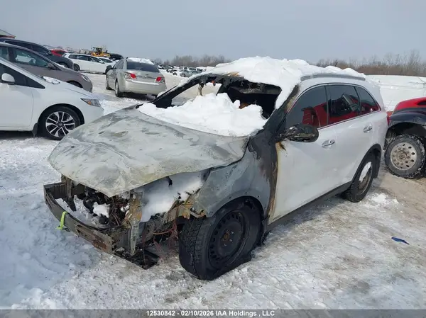 5XYPHDA19GG033590 2016 KIA SORENTO - Image 2