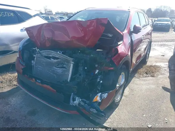 5XYPHDA31KG594392 2019 KIA SORENTO - Image 2