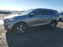 5XYPHDA50GG115579 2016 KIA SORENTO