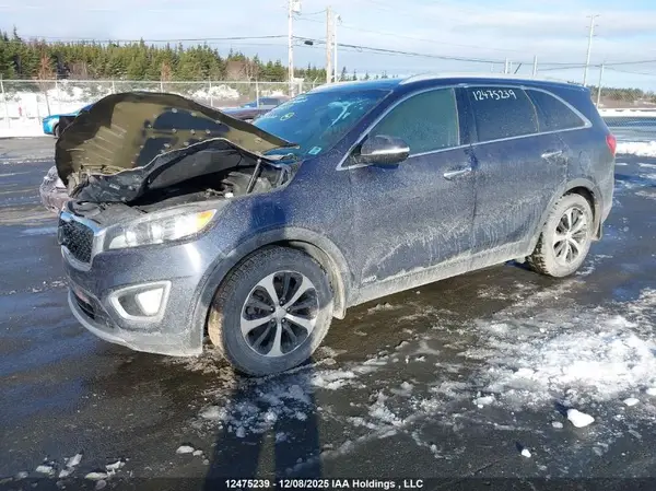 5XYPHDA50GG127408 2016 KIA SORENTO - Image 2