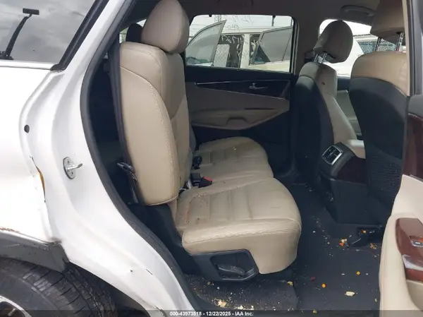 5XYPHDA51HG260244 2017 KIA SORENTO - Image 8