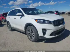 5XYPHDA51KG506331 2019 KIA SORENTO