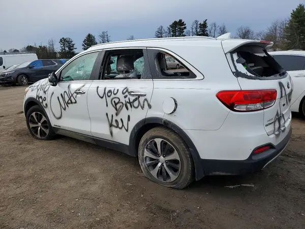 5XYPHDA52HG336991 2017 KIA SORENTO - Image 2