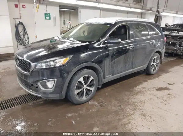 5XYPHDA54HG212172 2017 KIA SORENTO - Image 2