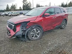 5XYPHDA54KG565826 2019 KIA SORENTO