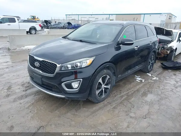 5XYPHDA55GG040443 2016 KIA SORENTO - Image 2