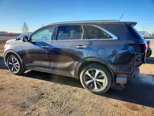 5XYPHDA56GG079526 2016 KIA SORENTO - Image 2