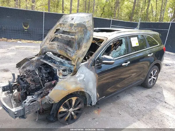 5XYPHDA56GG159134 2016 KIA SORENTO - Image 2