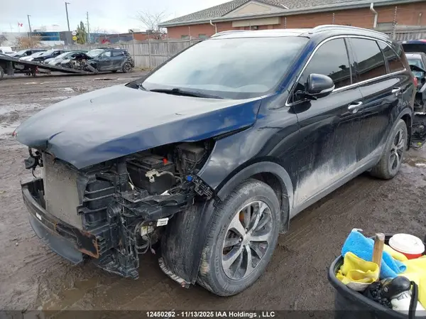 5XYPHDA56GG162955 2016 KIA SORENTO - Image 2