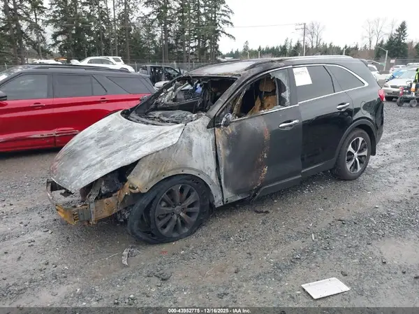 5XYPHDA57HG244324 2017 KIA SORENTO - Image 2