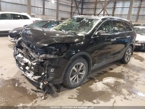 5XYPHDA57LG623641 2020 KIA SORENTO - Image 2