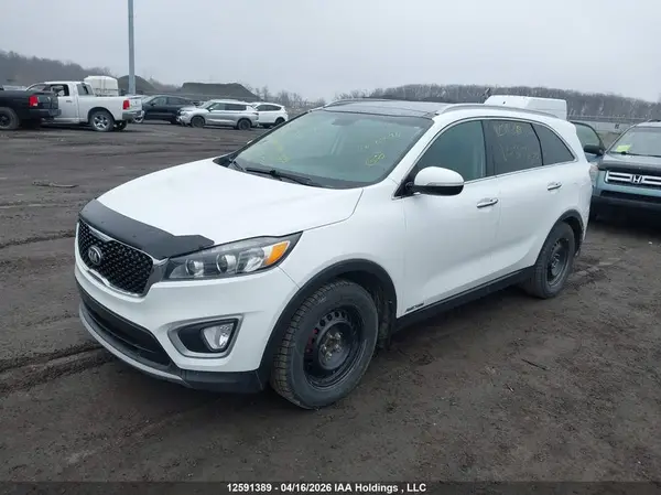 5XYPHDA58HG317877 2017 KIA SORENTO - Image 2