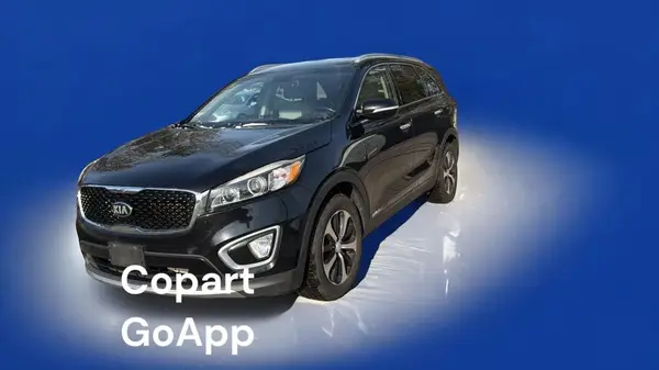 5XYPHDA59HG231042 2017 KIA SORENTO - Image 2