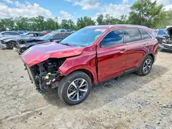 5XYPHDA59KG566924 2019 KIA SORENTO
