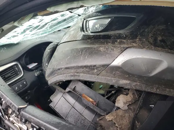 5XYPHDA5XGG159119 2016 KIA SORENTO - Image 8