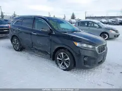 5XYPHDA5XLG703645 2020 KIA SORENTO
