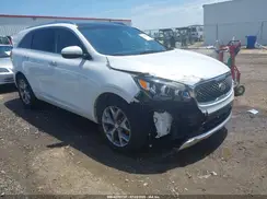 5XYPK4A13GG027981 2016 KIA SORENTO