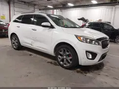 5XYPK4A50GG167344 2016 KIA SORENTO