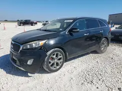 5XYPK4A52GG079959 2016 KIA SORENTO