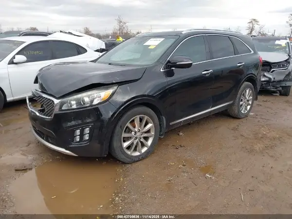 5XYPK4A53GG124097 2016 KIA SORENTO - Image 2
