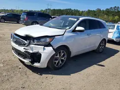 5XYPK4A54KG454159 2019 KIA SORENTO