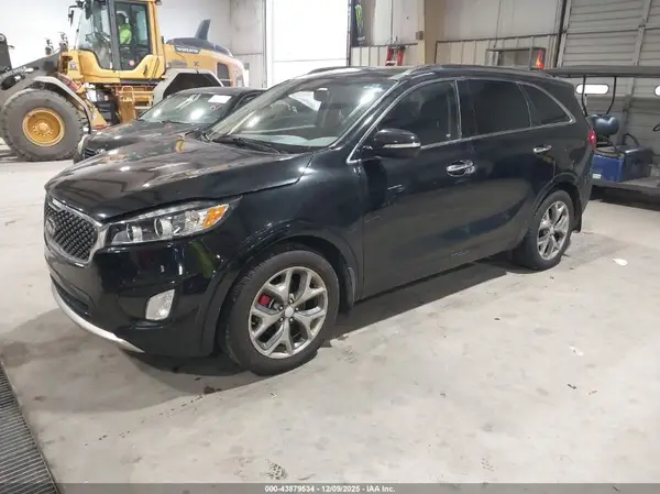 5XYPK4A55GG161359 2016 KIA SORENTO - Image 2