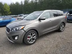 5XYPK4A56GG089183 2016 KIA SORENTO