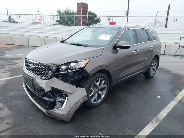 5XYPK4A58KG502276 2019 KIA SORENTO - Image 2