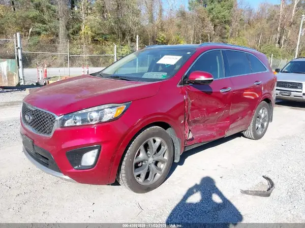 5XYPK4A59GG041869 2016 KIA SORENTO - Image 2