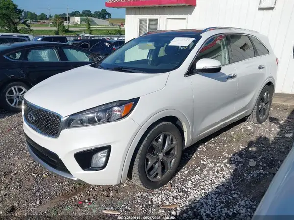 5XYPK4A59GG115064 2016 KIA SORENTO - Image 2