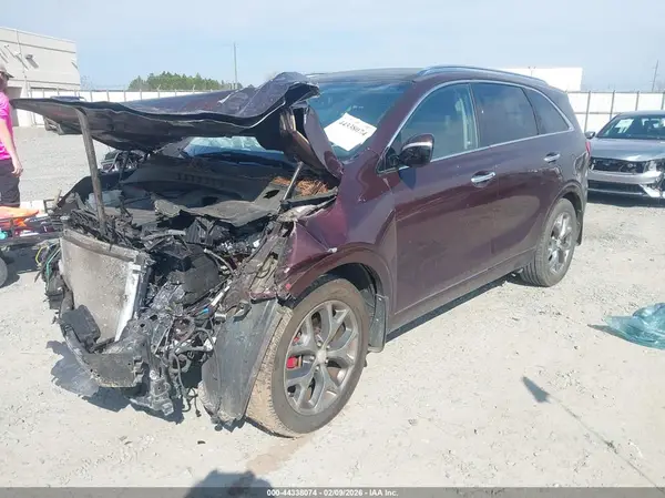 5XYPK4A59GG129823 2016 KIA SORENTO - Image 2