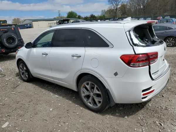 5XYPK4A5XGG114618 2016 KIA SORENTO - Image 2
