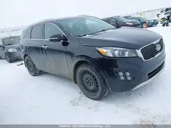 5XYPKDA10GG163646 2016 KIA SORENTO