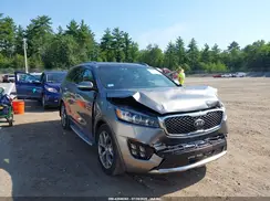 5XYPKDA13GG034557 2016 KIA SORENTO